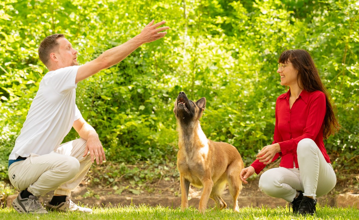 Ein Mann gibt einer belgischen Schaeferhuendin ein Handzeichen, eine Frau hockt daneben